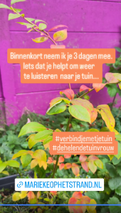 Marieke op het Strand, HSP, Den Haag, Marieke Verkerk, Intuïtie, cursus, Heel de natuur in jou, workshop, H.I.P, hooggevoelig, luisterkind, luisterkind-afstemming, aarden, gronden, aardingsproducten, Earthing Nederland, kortingscode, alternatief advent vieren, bijenvoedselbank, Pollinators, voor jezelf zorgen, healing garden, lifecoach, bomen, levensvragen, bodem, geboortebegeleiding, HSP Cursus Loslaten, EHB(h)O-Toolkit, moe zijn, Healing Garden, helend veld, Healing Garden sessie, healing garden coaching, challenge, Verbind je met de natuur in jou, natuurpiramide, Heel de natuur in jou, individueel traject, betekenisvol leven, De Helende Tuinvrouw, Helende verbinding met je tuin, helende tuin, verbind je met je tuin, hoogsensitief, masterclass luisteren naar je tuin, Jane Goodall, e-book, neurodivergent brein,